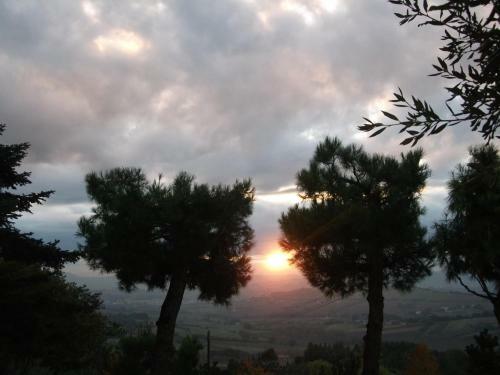 Agroturismo Poggio Del Conero
