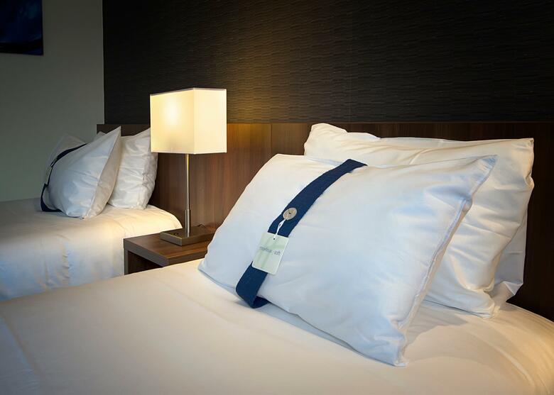 Hotel Holiday Inn Express Lille Centre