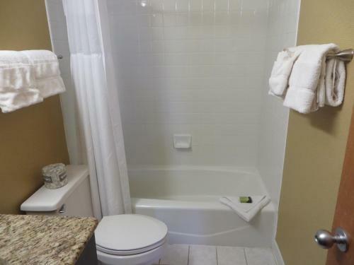 Hotel Ivy Court Inn And Suites