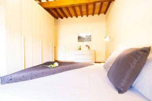 Apartamento Arco Antico In Pisa Historical Center