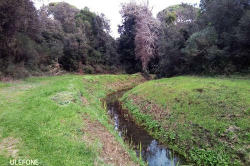 Apartamento In Parco Naturale, Con Accesso Diretto Alla Spiaggia