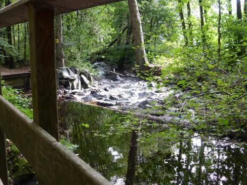 Vakantiehuis Hunsr�ck
