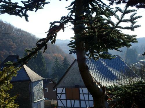 Vakantiehuis Hunsr�ck