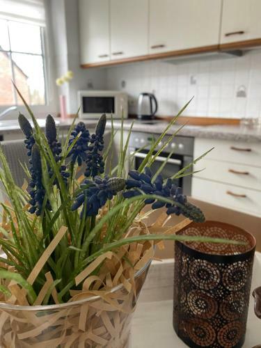 Apartamento Ferienhaus Am Hammrich