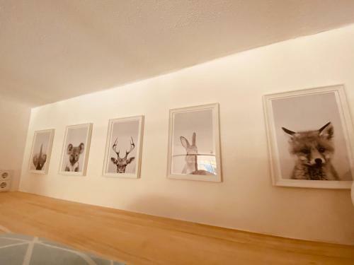 Apartamento Ferienwohnung Waldgenuss