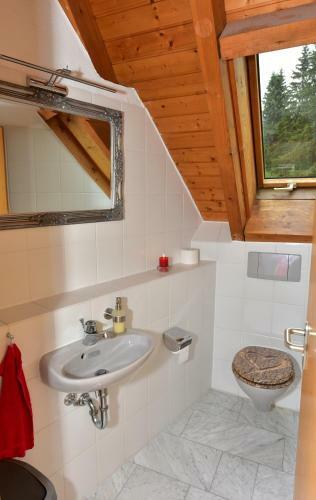 Apartamentos Black Forest Bollenhut Deluxe