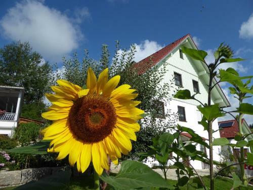 Apartamento Erholungsraum Karsee - Ferienwohnung