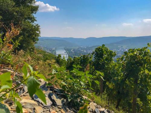 Alter Posthof Lieser