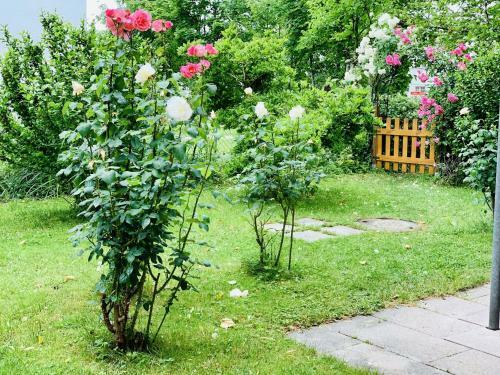 Apartamento H.n.h. Ferienwohnung