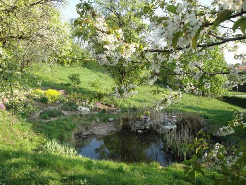 Landhotel Burgenblick