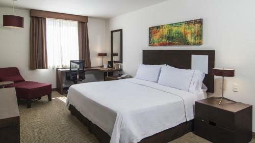 Hotel Holiday Inn Express Guadalajara Autonoma