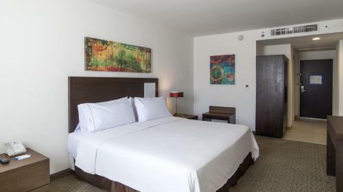 Hotel Holiday Inn Express Guadalajara Autonoma
