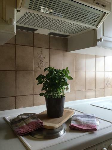 Apartamento Altes Fachwerkhaus Mutter Mosel