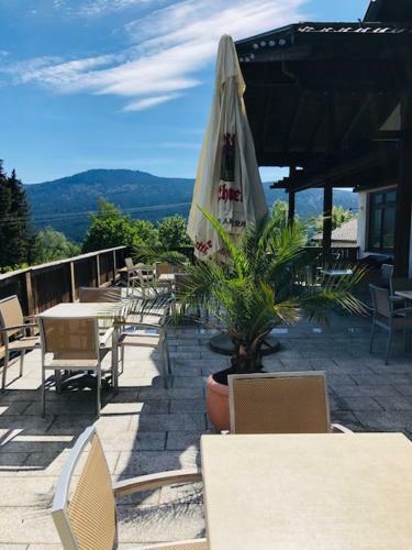 Landhotel Arber Wellness