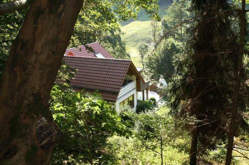Apartamento Holiday Flat Haus Am Berg, Lonau