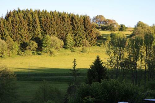 Apartamento Haus Am Wald