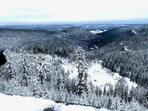 Apartamento Eine Nette Gem�tliche 2 Zimmer Ferienwohnung In Schwarzwald