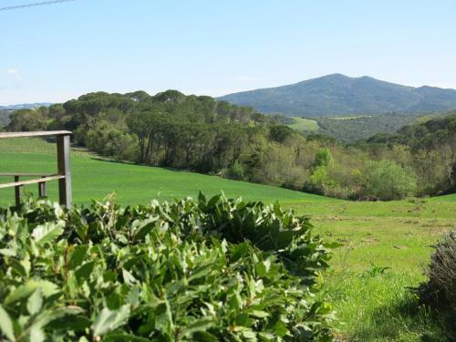 Apartamento Agriturismo Il Palagetto