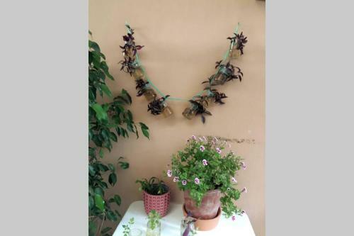 Apartamento Verde Centrale Home
