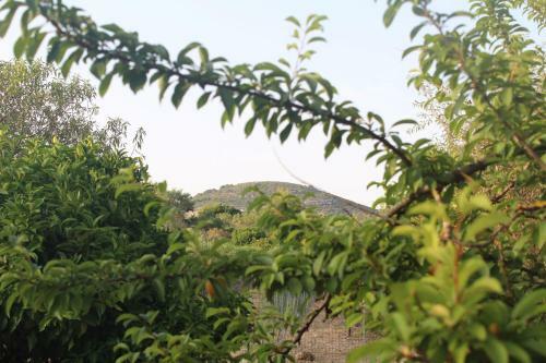 Villa Adelia