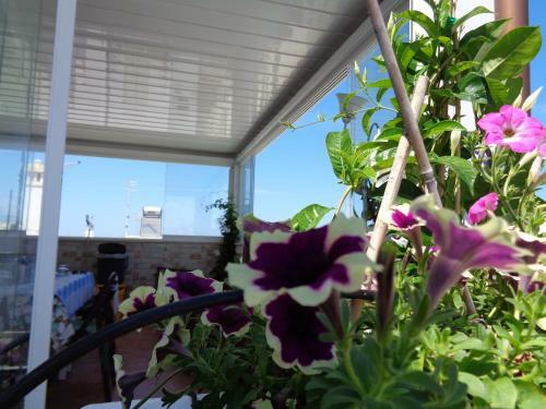 Apartamento Casa Marianna Short Lets