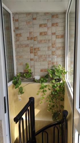 Apartamento Casa Marianna Short Lets