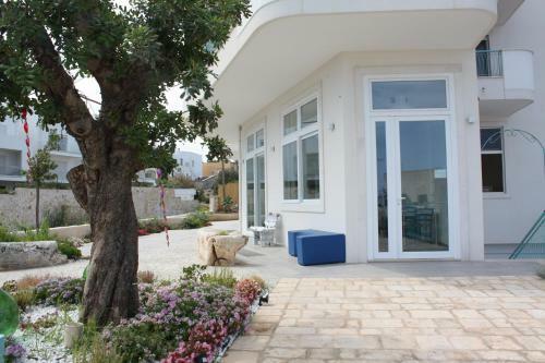 B&B Alalama