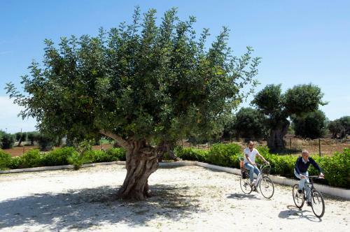 Case Per Vacanze Torre Incina