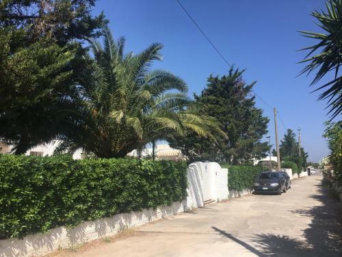 Almarea Corallo Appartamenti In Villa - Affitto Breve