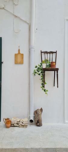 Guest House Terra Mia