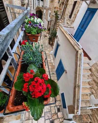 Apartamento Vico Rosa