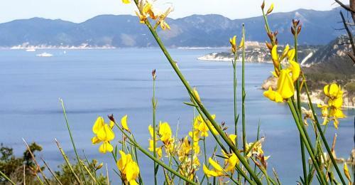 Apartamento Appartamenti Porto Azzurro