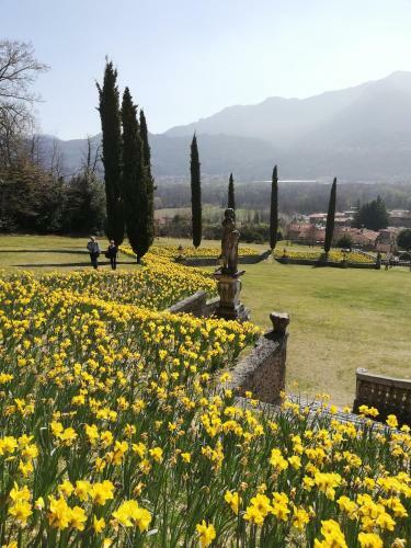 Apartamento Panorama Sul Lago