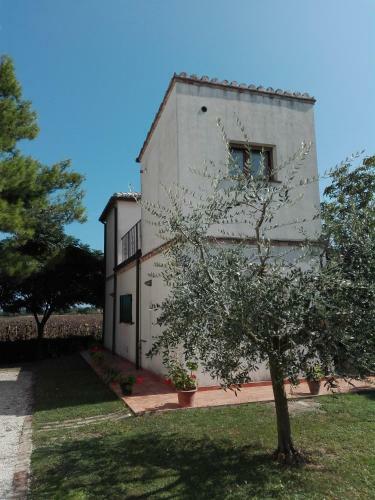Silos Torrenova