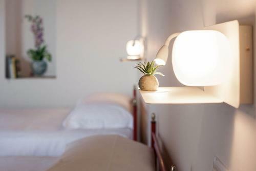 Hostal Red House Accomodation Potenza Picena