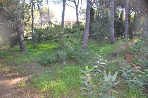 Apartamento Sardegna Mare San Giovanni Posada