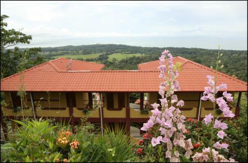 Whales And Dolphins Hotel