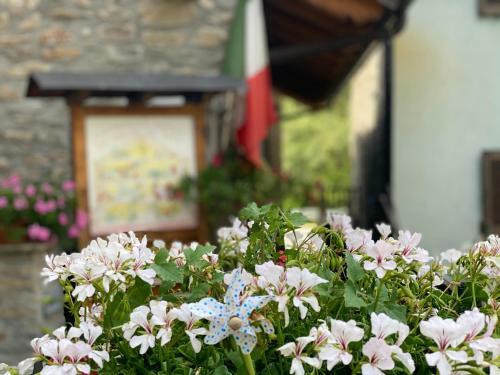Chambres D'hotes De Montagne Berthod B&B 2