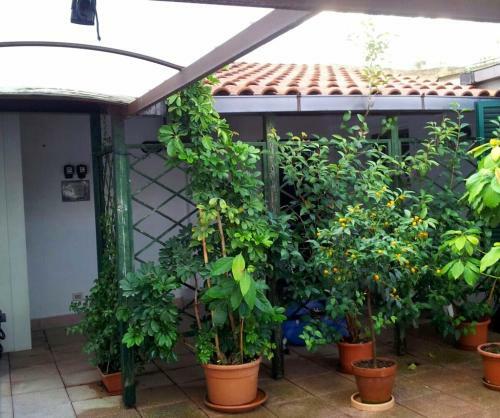 Apartamento Terrazza Orsini