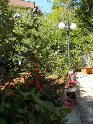 B&B Il Bamb�