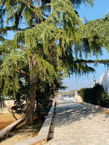 Villa Trullo Labellavita