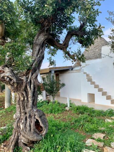Villa Trullo Labellavita