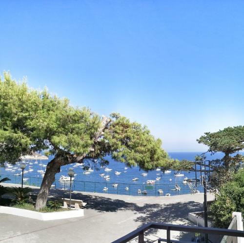 Apartamento Calise Guest House B