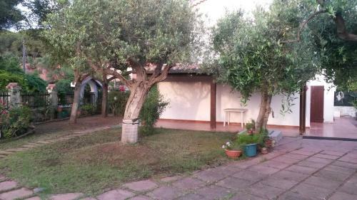 Casa Zedda