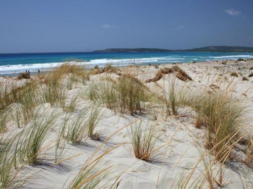 Lovely Apartment In Sardegna With Shared Garden