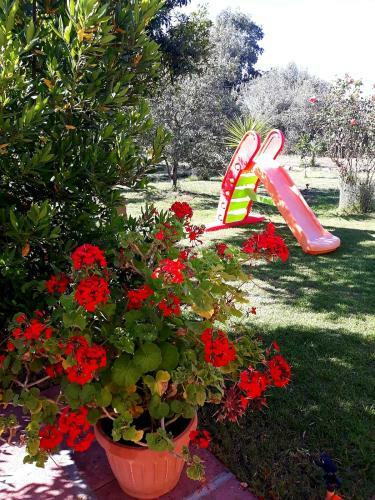 Casa Vacanza Gaia Relax Pula