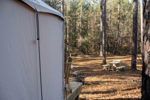 Tentrr State Park Site - Mississippi Clarkco State Park - Trailside E - Single Camp