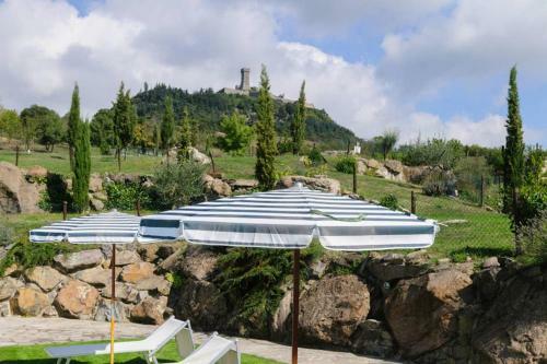 Girasole Cottage Overlooking The Orcia Valley In Tuscany