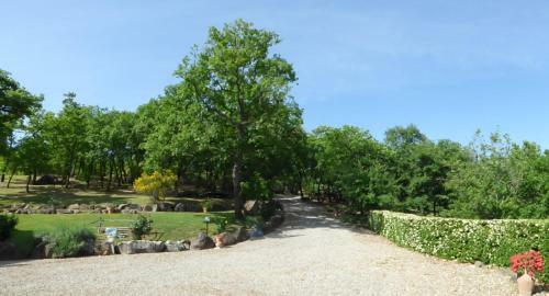 Apartamento Agriturismo San Luciano