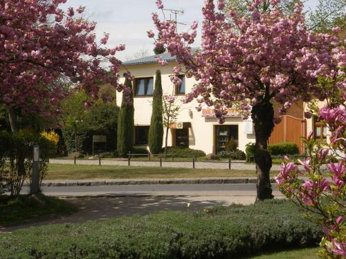 Hostal Pension "am Schlo�"